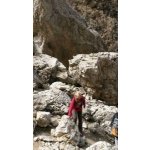 Petra sucht Wanderfreunde in Zülpich