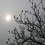 Bernd sucht Wanderfreunde in Rot am See