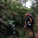 sylvain sucht Wanderfreunde in Haguenau