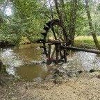 30.04. -03.05.: Genußwandern im Oberpfälzer Wald