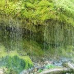 29.07.-01.08.: Südschwarzwald -Schluchtenerlebnisse