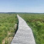 18.-21.06.: Ardennen - Hohes Venn