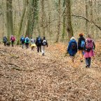 EWS-Wanderung “Wald-, Wiesen- und Kaffeezeit bei Sprengen”