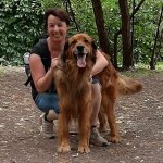 Walli sucht Wanderfreunde in Schwalbach