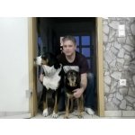 Timo sucht Wanderfreunde in Badenhard