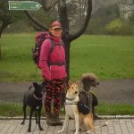 Andrea sucht Wanderfreunde in Poppenhausen