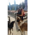 Christine sucht Wanderfreunde in Schliersee