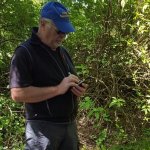 Wolfgang sucht Wanderfreunde in Grünstadt