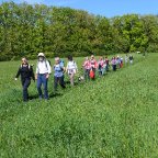 Wanderung der Stadt Völklingen: “Rund um den Stadtteil Röchlinghöhe”