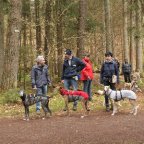 EWS-Wanderung mit Hund(en) “Im Ruhbachtal”