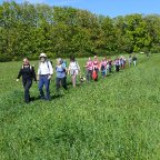 Wanderung der Stadt Völklingen: „Bürgerpark und Derler Kipp”