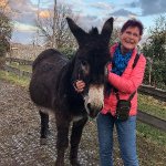 Renate sucht Wanderfreunde in Hünfelden