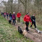 EWS-Wanderung mit Hund(en) “Im Ruhbachtal”