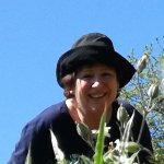 Jutta sucht Wanderfreunde in Pfinztal