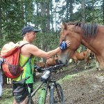 Hardy sucht Wanderfreunde in Bonndorf im Schwarzwald