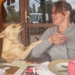 Elke sucht Wanderfreunde in Fürstenberg/Havel