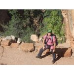 Angela sucht Wanderfreunde in Schöppenstedt