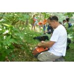 Klaus sucht Wanderfreunde in Volkmarsen