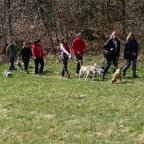 EWS-Wandern mit Hund(en) im Warndt