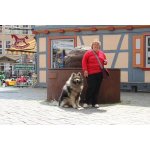 Hannelore sucht Wanderfreunde in Eilsleben
