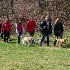 EWS-Wanderung mit Hund(en) “Im idyllischen Wogbachtal”