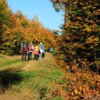 EWS Wanderung “Durch den herbstlichen Wald im Drei-Dörfer-Eck”