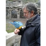 Gerd sucht Wanderfreunde in Wöllstadt