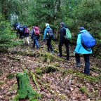 EWS Schnupperwanderung „Einfach nur Natur!“