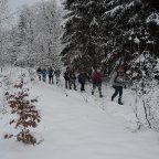 EWS-Single-Wanderung „Zum Kalten Ring“