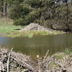 EWS-Wanderung „Ins Tal der Biber …“