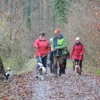 1. EWS-Hundestammtisch