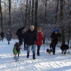 EWS-Wanderung mit Hund(en) “Natur pur bei Kirrberg”