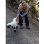 Sonja sucht Wanderfreunde in Heusenstamm