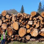 Simone sucht Wanderfreunde in Großbettlingen