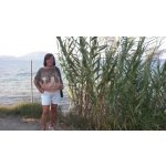 Brigitte sucht Wanderfreunde in Mühlhausen/Thüringen