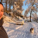 Momo sucht Wanderfreunde in Merdingen