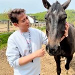 Aldira sucht Wanderfreunde in Kernen im Remstal