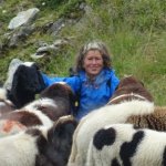 Silvia sucht Wanderfreunde in Striegistal