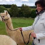 Inge sucht Wanderfreunde in Vöhringen