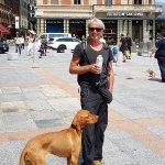 Peter sucht Wanderfreunde in Boppard