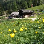 Dolomiten       Rosengarten  -  Plattkofel  -  Schlern    ...es sind Plätze frei....