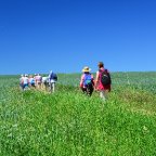 EWS-Wanderung „Zum Keramikmuseum und dem Garten der Fayencen in Saargemünd“
